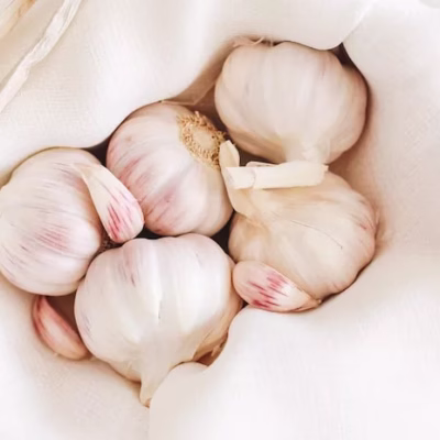Garlic Reduces Antibiotics In The Body Garlic Reduces Antibiotics In The Body