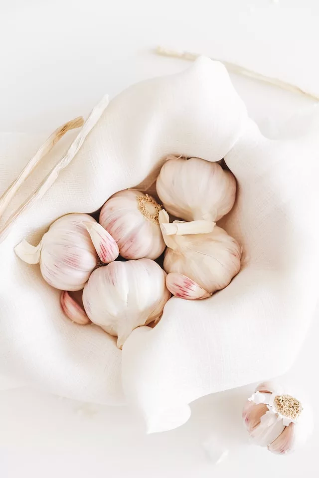 Garlic reduces antibiotics in the body