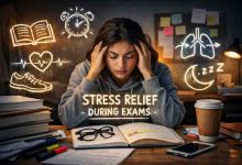 Stress Relief Techniques for Students During Exams 17 Grounded Methods That Actually Bring Relief