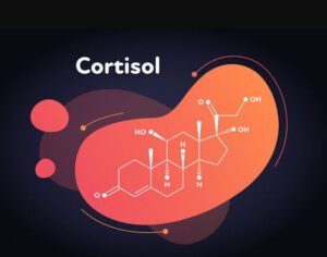 How To Lower Cortisol Levels: A Comprehensive Guide To Reducing Stress Hormones Naturally