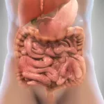 Optimizing Digestive Health: Discover The Power Of Digestion-promoting Foods