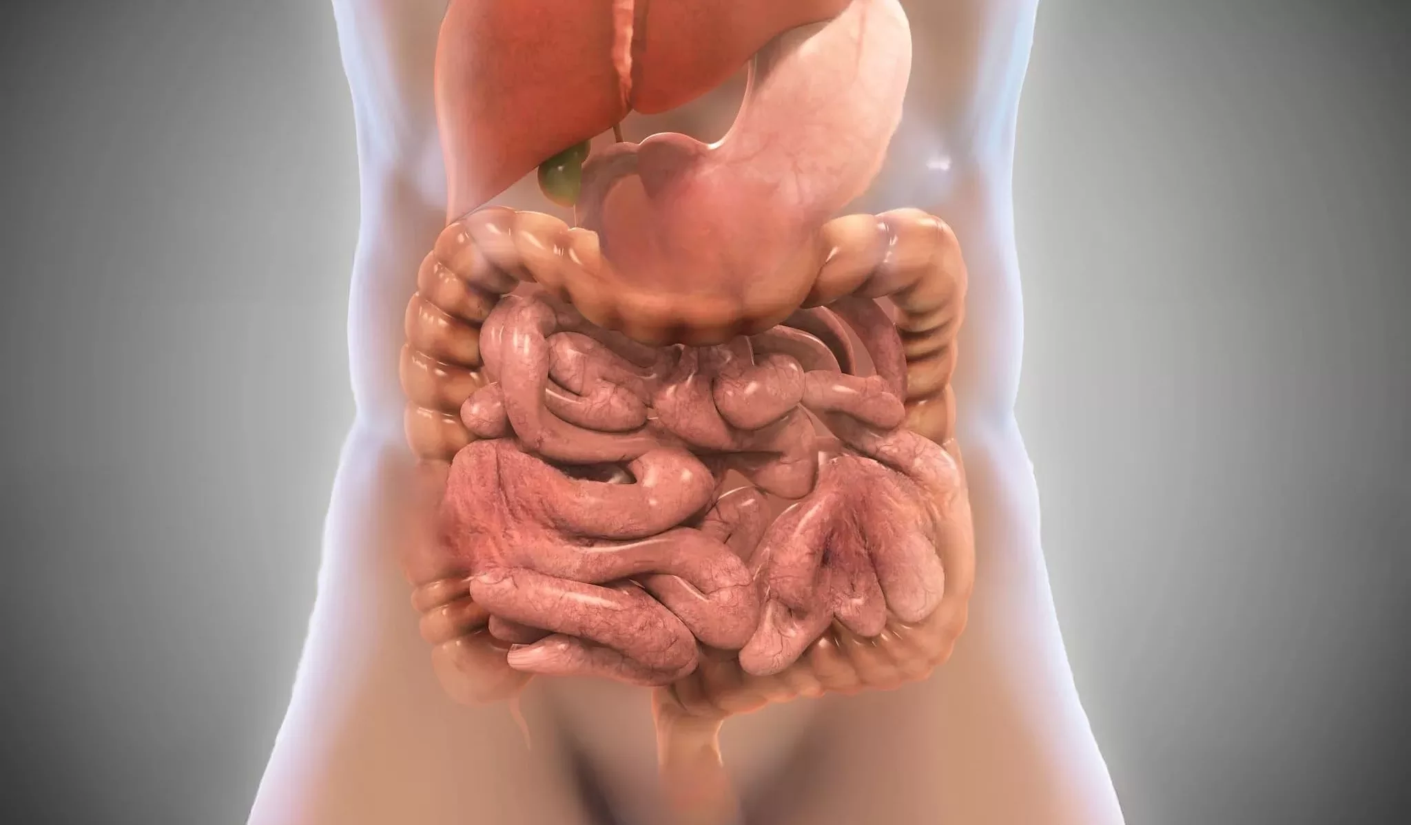 Optimizing digestive health: discover the power of digestion-promoting foods
