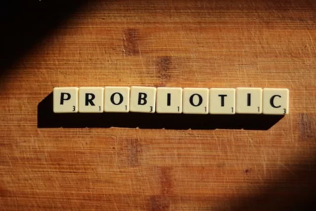 Unlocking the power of probiotics for gut health