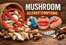Mushroom Allergy Symptoms 17 Warning Signs I Ignored and the Relief of Finally Figuring It Out