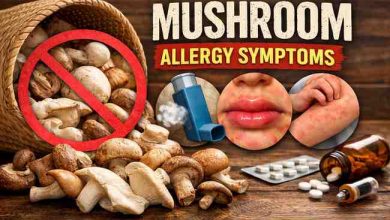 Mushroom Allergy Symptoms 17 Warning Signs I Ignored and the Relief of Finally Figuring It Out