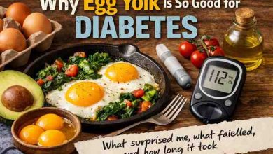 Why Egg Yolk Is So Good for Diabetes 7 Hard Won Lessons That Finally Gave Me Relief