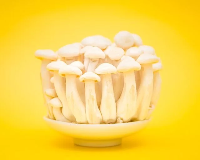 Mushroom allergy symptoms unveiled: 7 powerful ways to stay allergy-free
