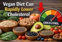 Vegan Diet Can Rapidly Lower Cholesterol 7 Real World Lessons That Bring Relief