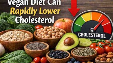 Vegan Diet Can Rapidly Lower Cholesterol 7 Real World Lessons That Bring Relief