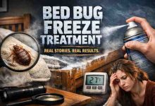 Bed Bug Freeze Treatment 7 Honest Insights That Bring Relief If You Do It Right