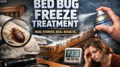 Bed Bug Freeze Treatment 7 Honest Insights That Bring Relief If You Do It Right