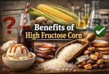 Benefits of High Fructose Corn 9 Surprising Truths Most People Get Wrong And Why That Matters