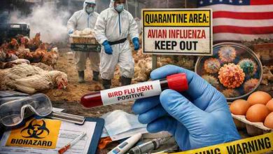 Bird flu avian influenza 11 hard earned lessons from real outbreaks and why people panic too late