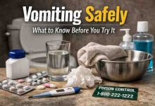 Vomiting Safely 9 Hard Truths Most People Learn the Stressful Wayople Dont Expect
