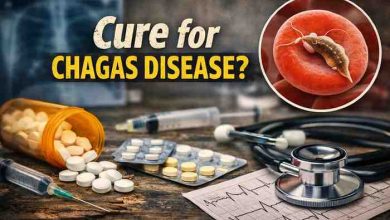 Cure for Chagas Disease 7 Hard Truths That Finally Bring Clarity and Hope