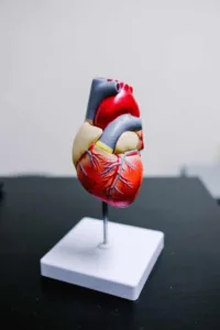 5 Life-saving Cardiac Arrest Causes & Remedies For A Strong Heart